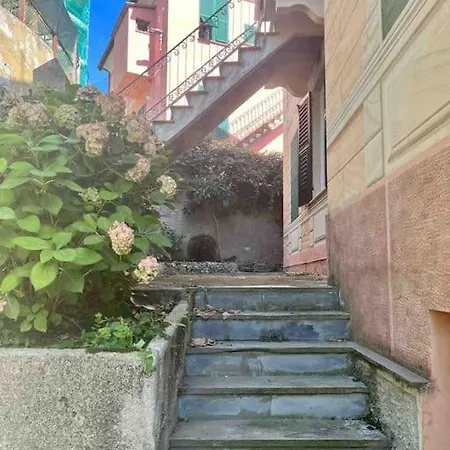 Storica Del 1800 *