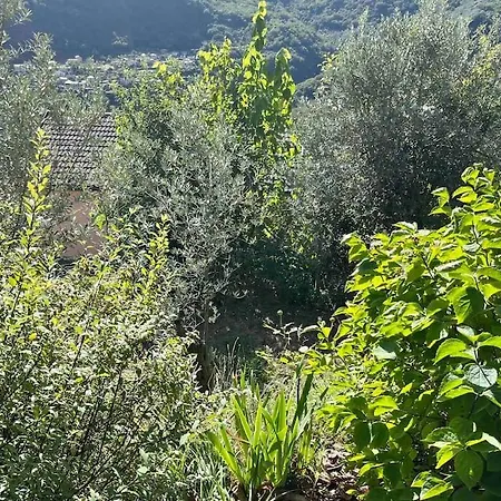 Storica Del 1800