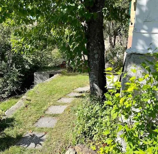 Storica Del 1800 Ушо