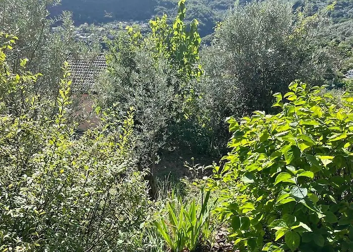 Storica Del 1800