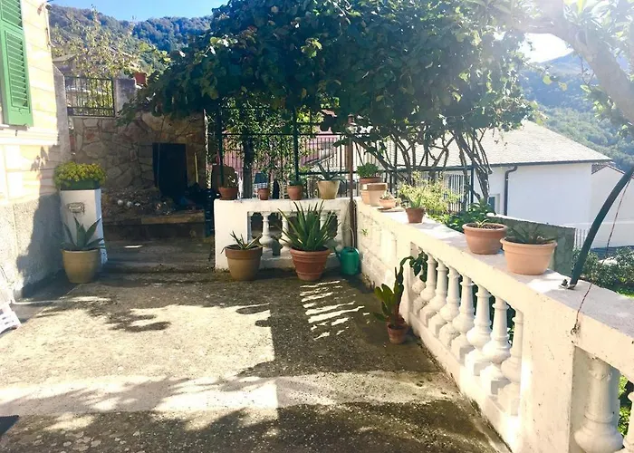 Villa Storica Del 1800 *