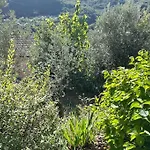 Storica Del 1800