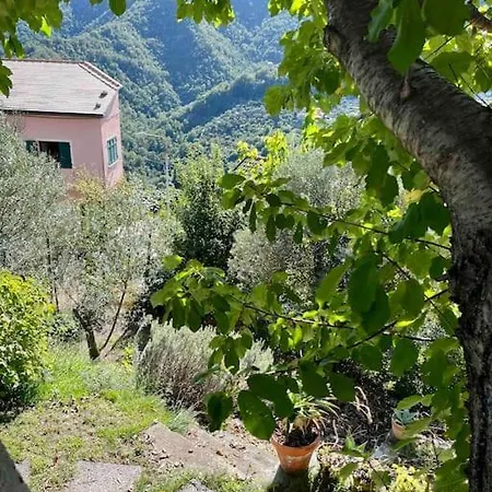 Storica Del 1800 Uscio