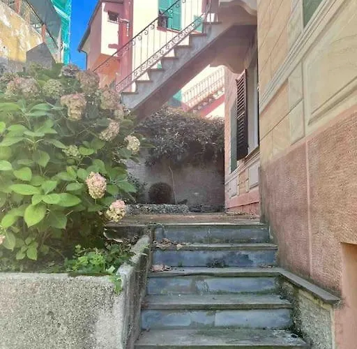 Storica Del 1800 *